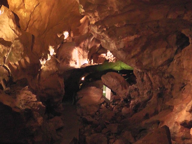 Ferienhaus mit 3 Ferienwohnungen