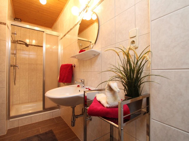 Bauernhof Mussbachhof in Saalfelden