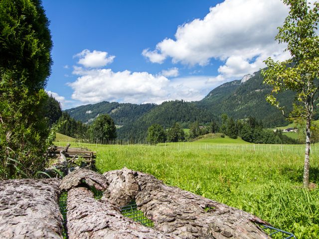 Almhütte Hühnerstall