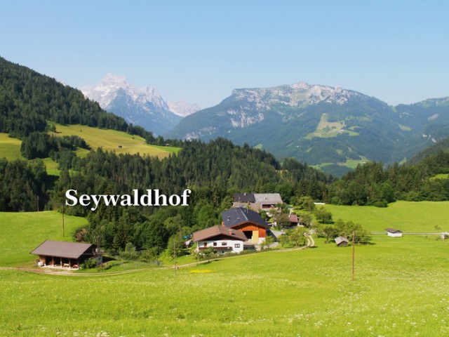 Ferienwohnung Seywaldhof in Lofer