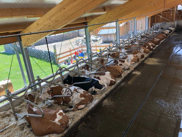 Stefflhof in Saalfelden