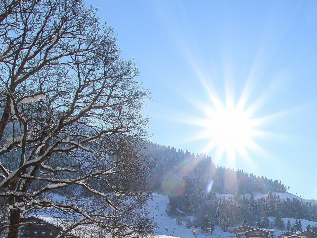 Landhotel Oberdanner
