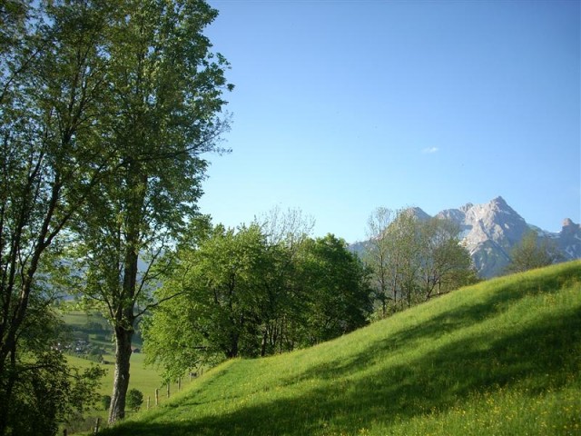 Bauernhof in Saalfelden am Oberdeutinghof