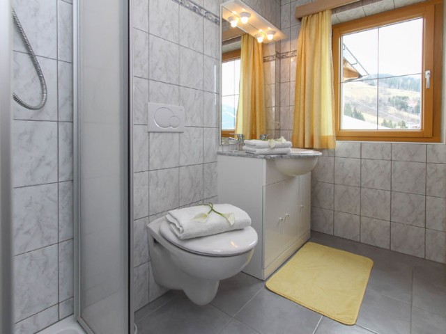 Apartment Hinterglemm - Haus Maxi