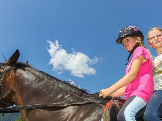 Biobauernhof Walchengut 