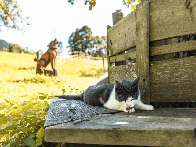 Biobauernhof Walchengut 