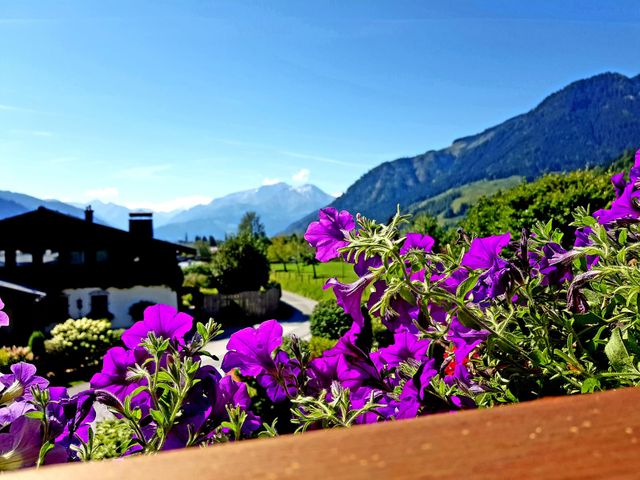 Haus Hagnbichl - Ferienwohnungen in Maishofen 