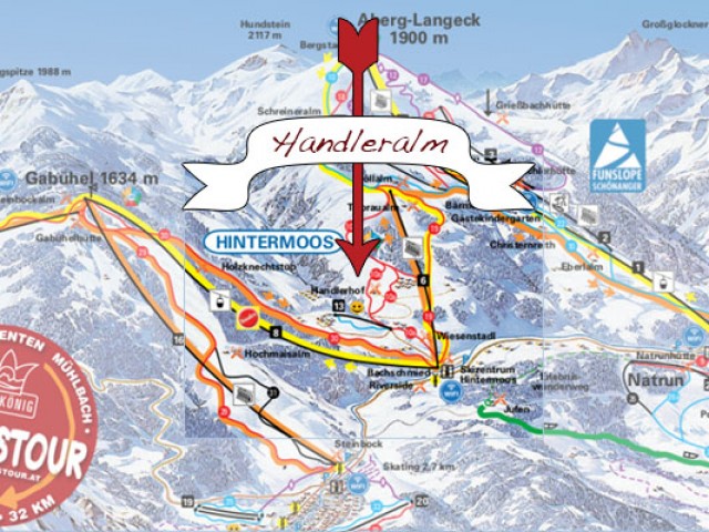 Almhütte Handleralm in Maria Alm