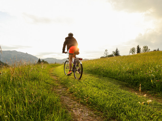 Chalet "Großglockner"