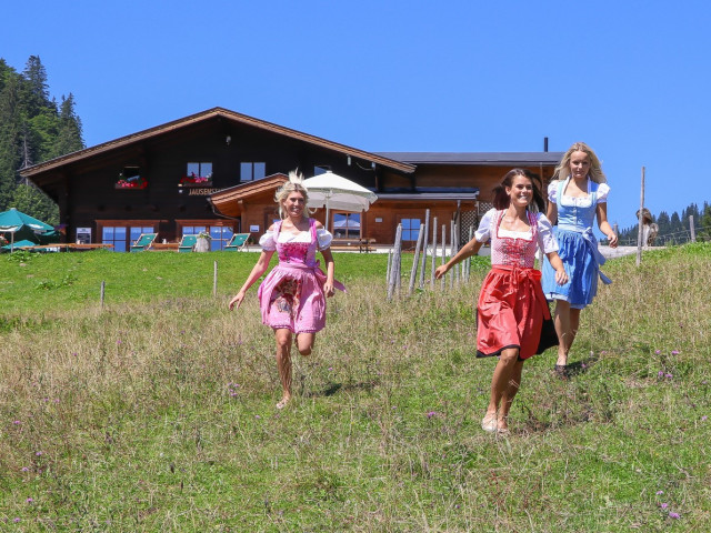 Jausenstation Wildalm