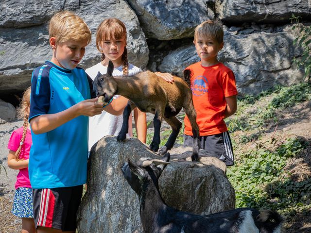 Zimmer mit Frühstück Haarlehen