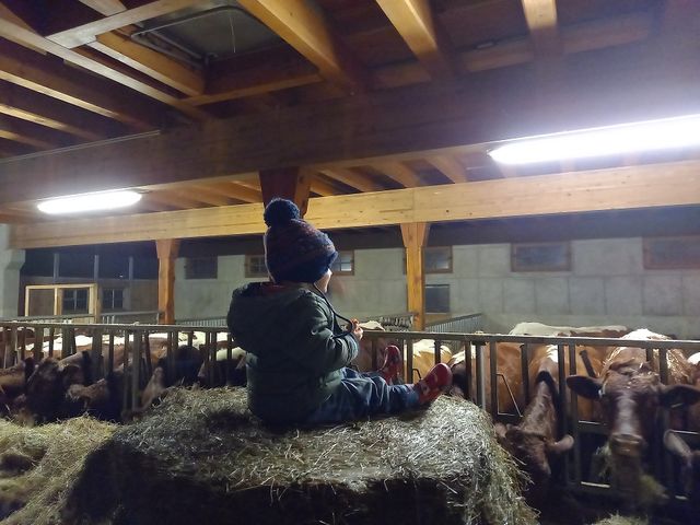 Ferienbauernhof Schwaigergut