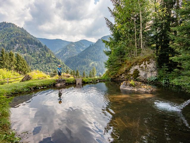 Familienbauernhof Griesbichlhof im Grossarltal
