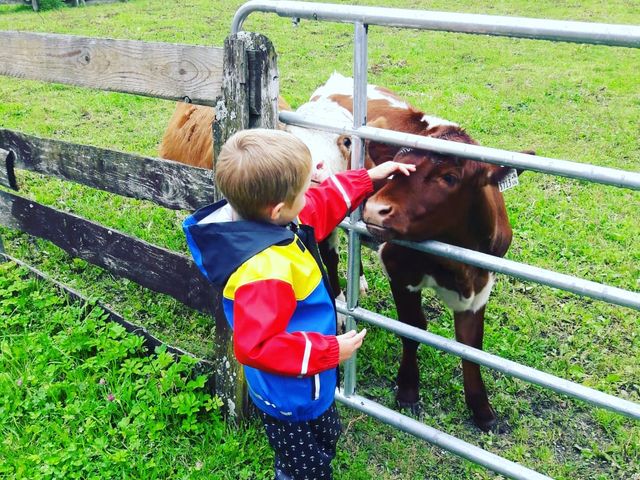 Urlaub auf dem Bauernhof Hettlerhof in Maishofen