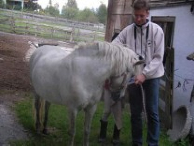 Urlaub auf dem Bauernhof Hettlerhof in Maishofen