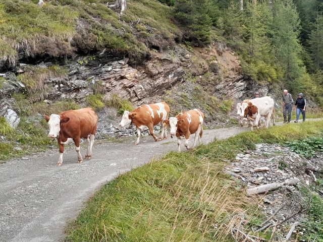 Ferienhaus Aschauhütte im Großarltal
