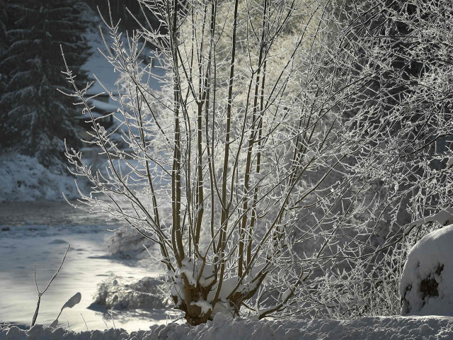 Appartement Mühlpointhof in Lofer