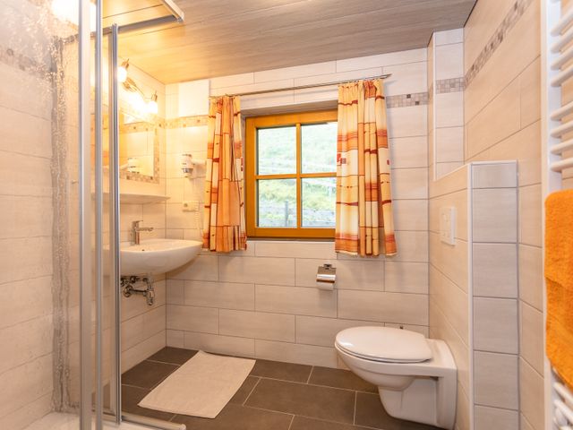 Ferienhaus Palfenhof Grossarltal