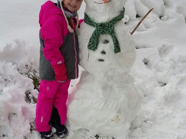 Bauernhof Palfenhof Grossarltal