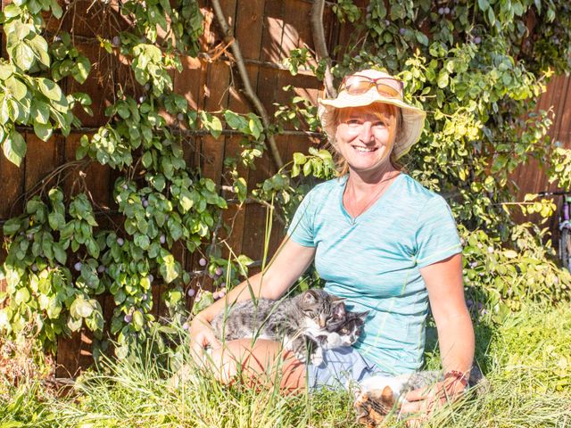 Bauernhof Palfenhof Grossarltal