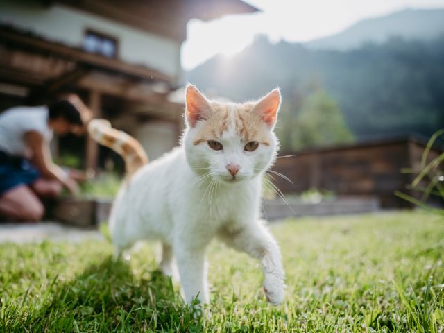 Biobauernhof Aubauer