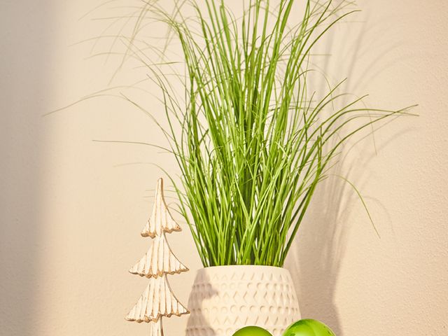 Haus Bellevue Appartement MountainFeeling Saalbach-Hinterglemm