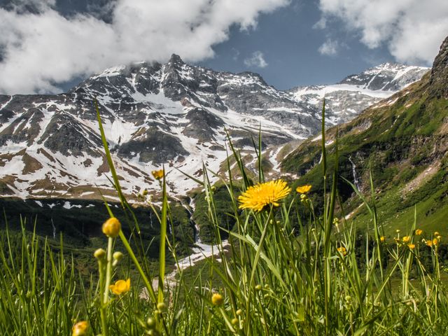 Ferienpension Sonnblickhof