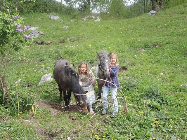 Familienbauernhof Bairauhof