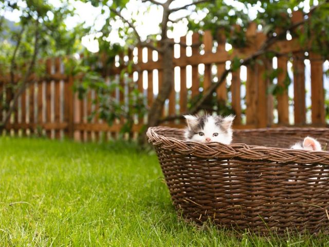 Bauernhof Klockergut