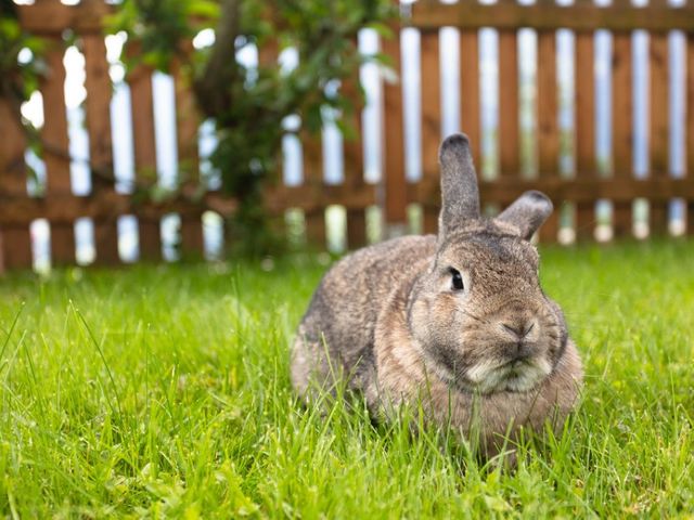 Bauernhof Klockergut