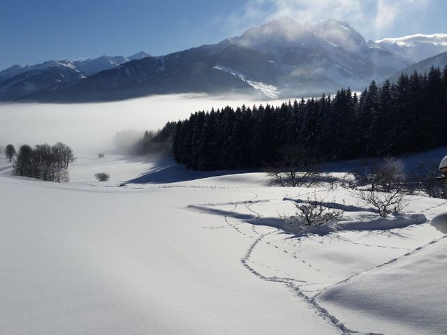 Ferienhaus Widholzhof