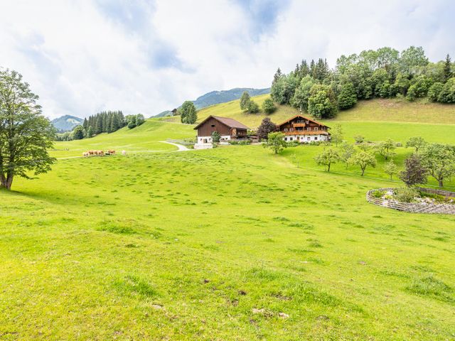 Ferienhaus Widholzhof