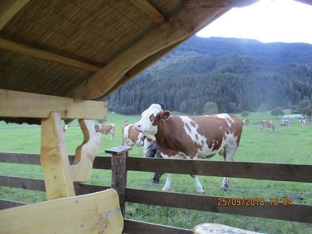 Ferienhaus Maishofen