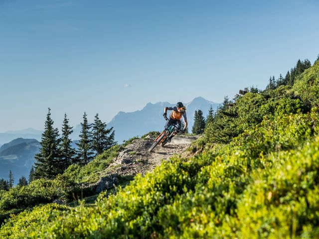 Appartement Neumayer