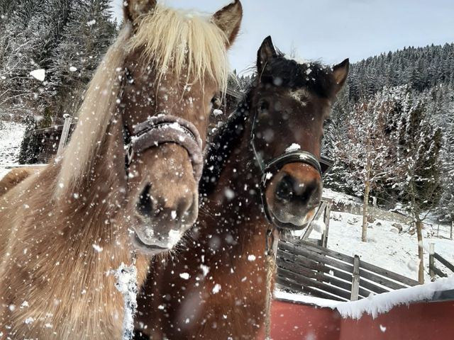 Ferienwohnungen Edthof