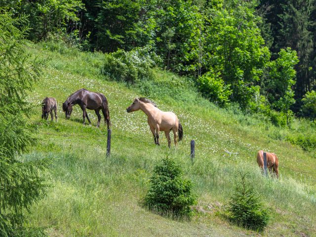 Ferienwohnungen Edthof