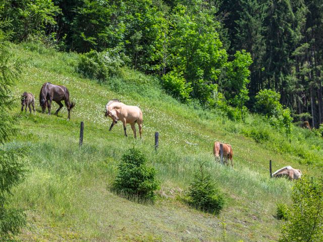 Ferienwohnungen Edthof