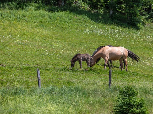 Ferienwohnungen Edthof