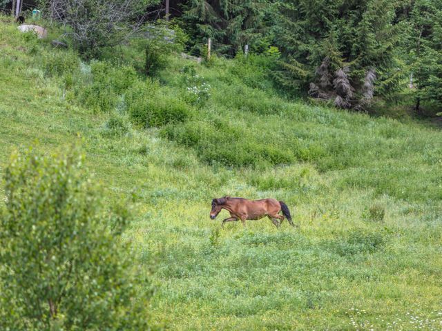 Ferienwohnungen Edthof