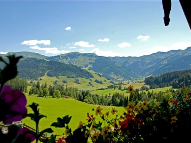 Urlaubsparadies Liebmannhof