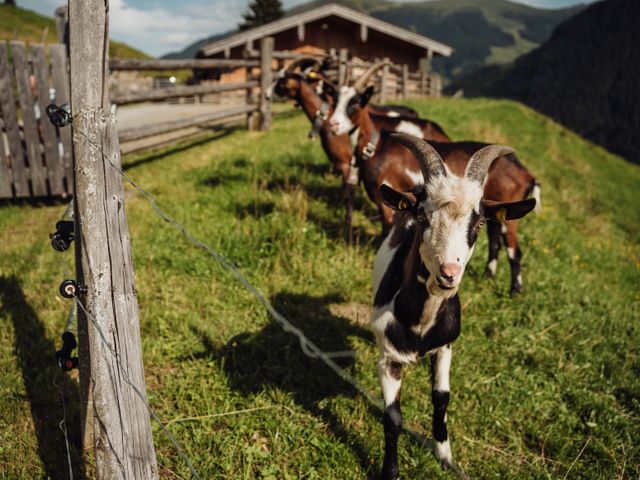 Almhütte Mitterstall
