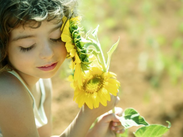 Wohlfühlgasthof Friedlwirt