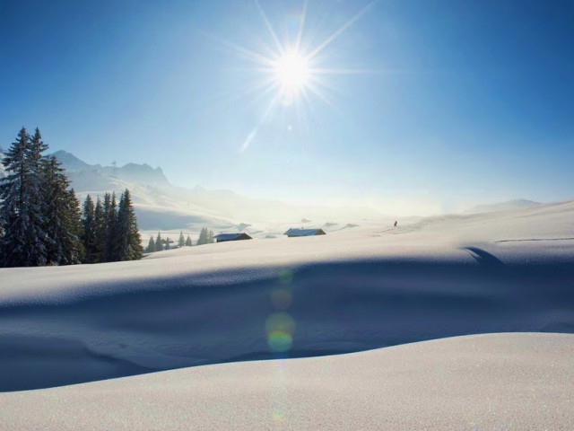 Wohlfühlgasthof Friedlwirt