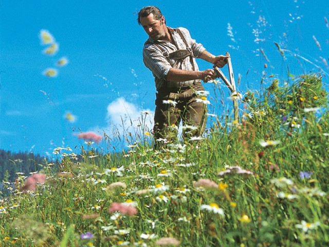 Heubadehof Jausenstation Pürzlbach